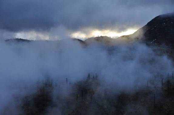 Uma névoa entre as árvores mortas torna o cenário ainda mais mágico, no caminho para o Mt. St. Helens, no estado de Washington, oeste dos Estados Unidos